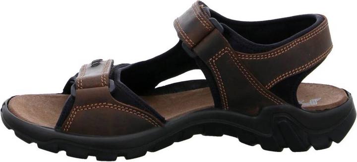 Actual product image IMAC Spa Sporttech Men testa di moro (42)