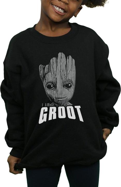 Produktbild Guardians Of The Galaxy Groot Face Sweatshirt Mädchen (128)