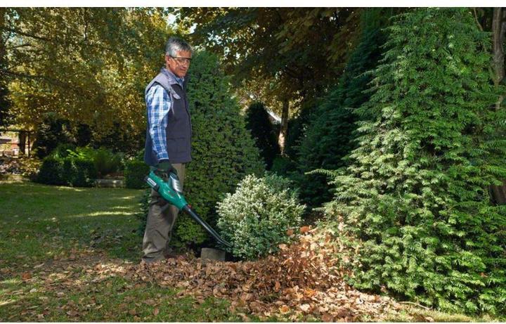 Image du produit Bosch Home & Garden Alb 36 Li (Fonctionnement sur batterie, Souffleur de feuilles)