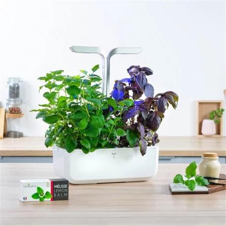 Actual product image Véritable Organic Peppermint (Herb seeds)