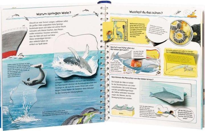 Produktbild Ravensburger Wir entdecken Wale und Delfine (Deutsch, Doris Rübel, 2011)
