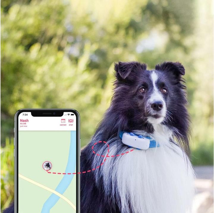 Actual product image Tractive Dog 4 GPS Tracker for Dogs (One size, Dog, General)