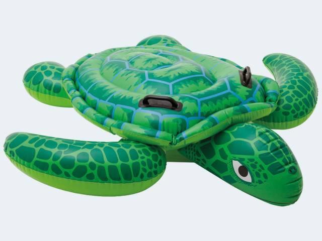 Actual product image Intex Lil' Sea Turtle