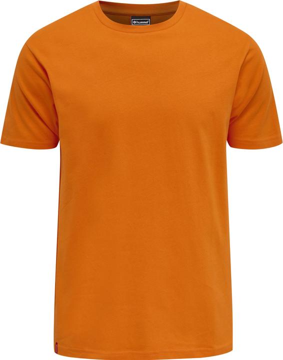 Tigre orange