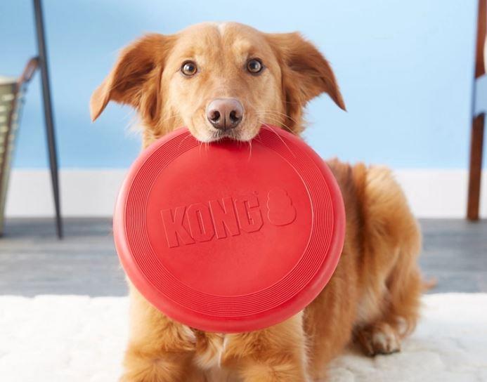 Image du produit KONG dépliants (Jouet à lancer chien)