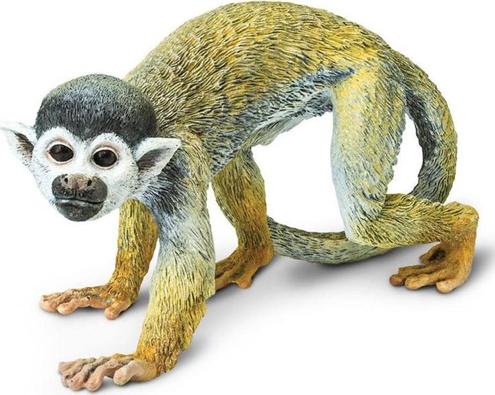 Image du produit Safari Singe à tête de mort