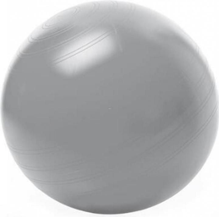 Togu Sitzball ABS (65 cm)