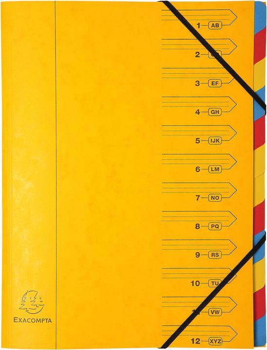 Productafbeelding Exacompta Geniete dossiermappen (A4, 1 x)