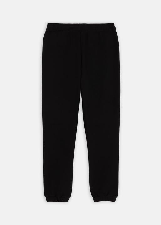 Image du produit Dickies Mapleton Sweatpant Black (XXS)