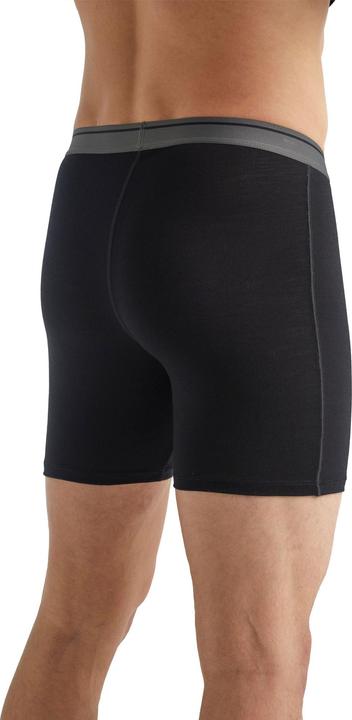 Produktbild Icebreaker Anatomica (M)