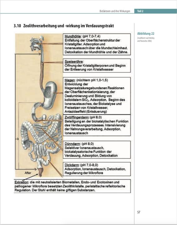 Immagine prodotto Biofaktoren für gesundes Altern (Tedesco, Charles Hecht, 2024)