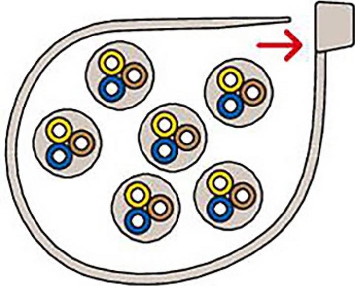 Image du produit Fischer Colliers de serrage BN (L x l) 300 mm x 3.6 mm Couleur : Transparent 100 pcs. (Serre-câbles métalliques, 300 mm, 100 pcs)