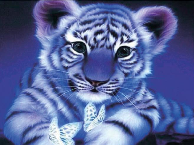 Immagine prodotto Pracht Pittura a diamante Baby Tiger