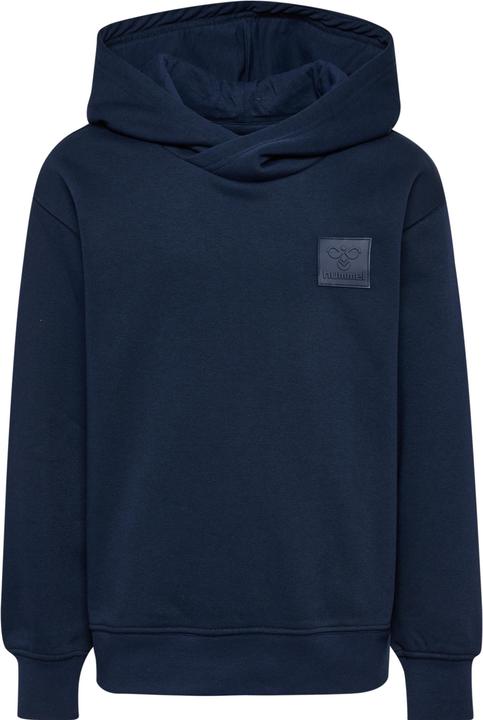 Image du produit hummel hmlCLEAN HOODIE (116)