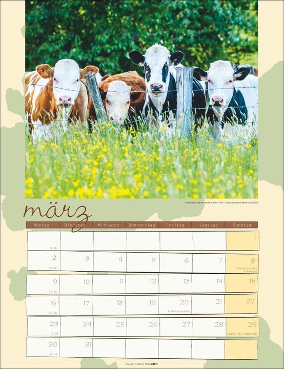 Produktbild Kuh Kalender 2026 (30 x 39 cm, Deutsch)