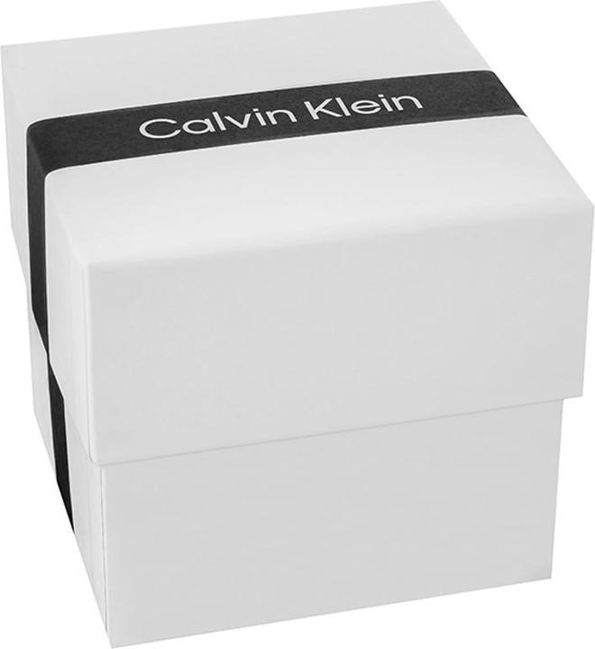 Image du produit Calvin Klein Timeless Mesh Damenuhr 25200003 + BOX (Montre analogique)