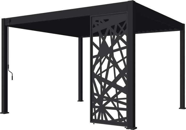 Weide Seitenwandpaneel 93cm anthrazit abstraktes Design für Deluxe Plus Pergola (6 cm, 93 cm)
