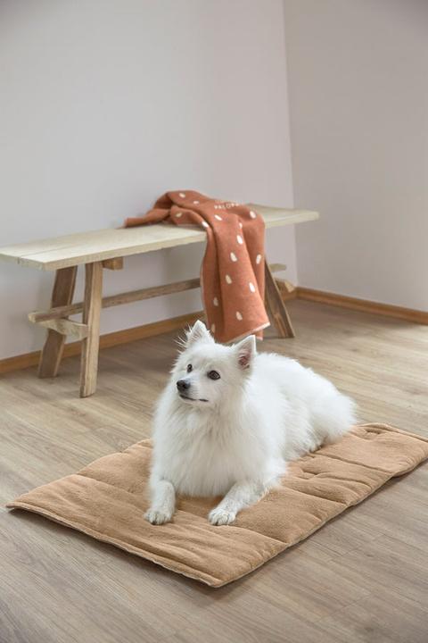 Immagine prodotto Palopa Alma (Cane)