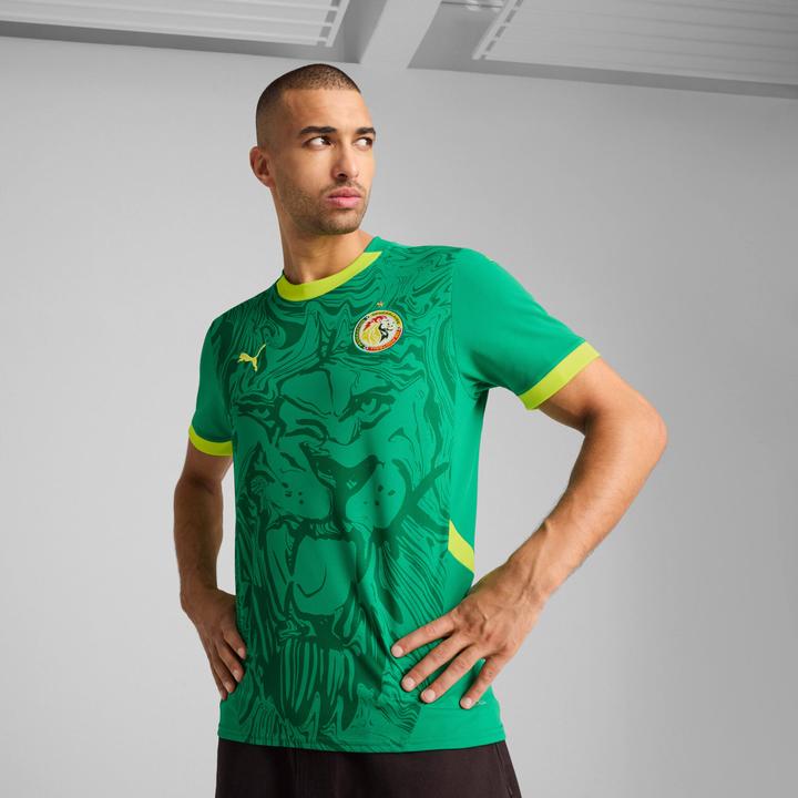 Produktbild Puma auswärtstrikot sénéga 2024 (L)