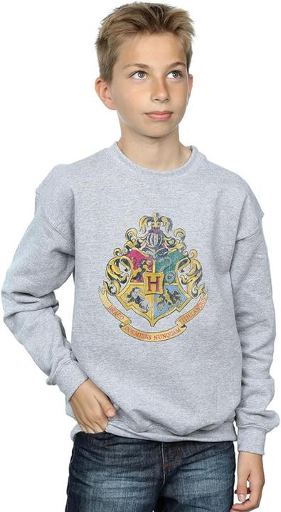Produktbild Sweatshirt Jungen (140, 146)