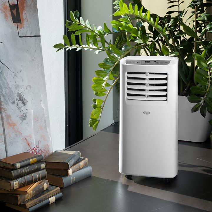 Actual product image Argo Swan Evo (7029.01 BTU/h)