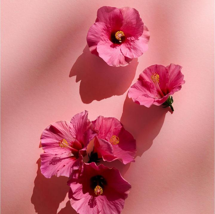 Actual product image NIVEA Fresh Flower Spray (Spray, 150 ml)