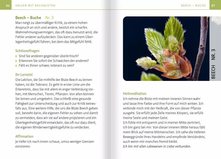 Immagine prodotto Heilen mit Bachblüten. Kompakt-Ratgeber (Tedesco, Anna Elisabetta Roecker, 2022)