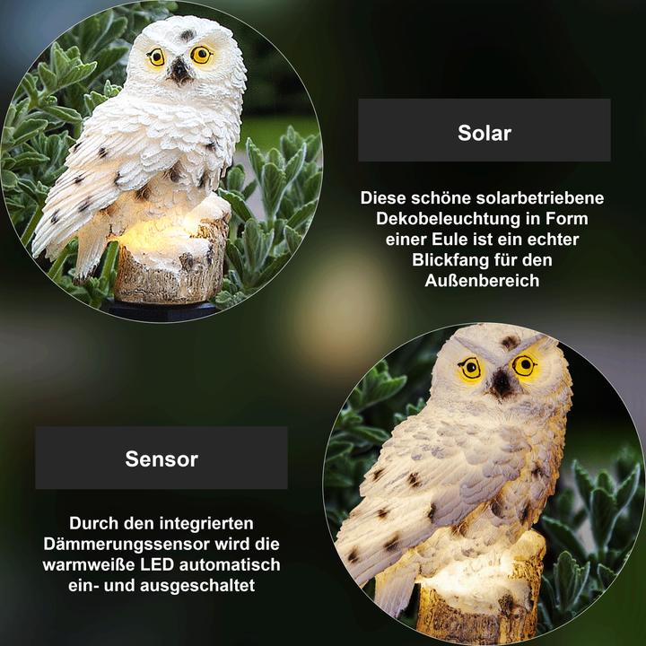 Image du produit Star Trading Owl (IP44)