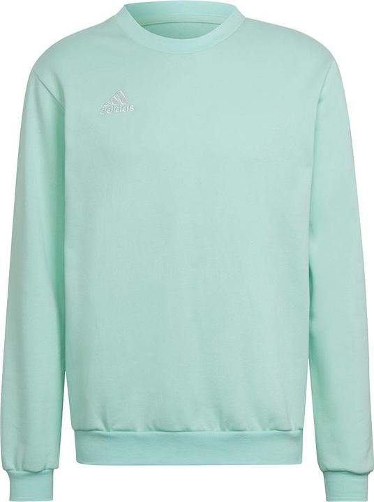 adidas Entrada 22 Sweatshirt