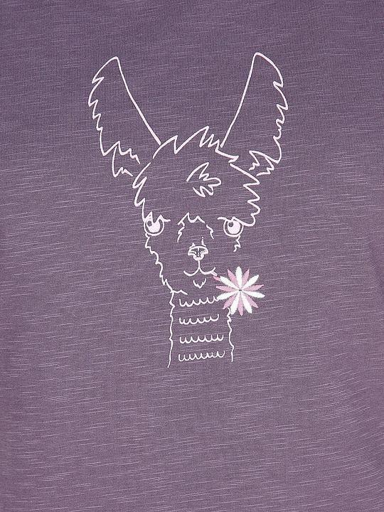 Actual product image Chillaz Klettershirt Happy Alpaca (40)