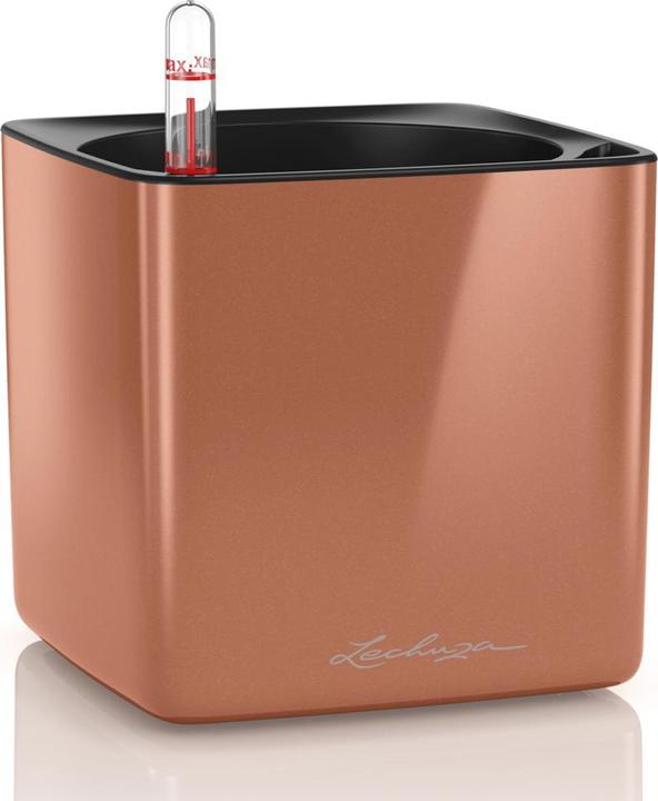 Lechuza Cube Glossy (14 cm)