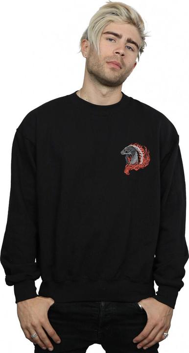 Produktbild Game of Thrones Red Dragon Pocket Sweatshirt (XXL)