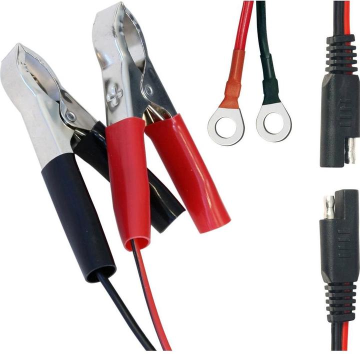 Immagine prodotto Dino Caricabatterie automatico (12V, 6V, 0.75 A)