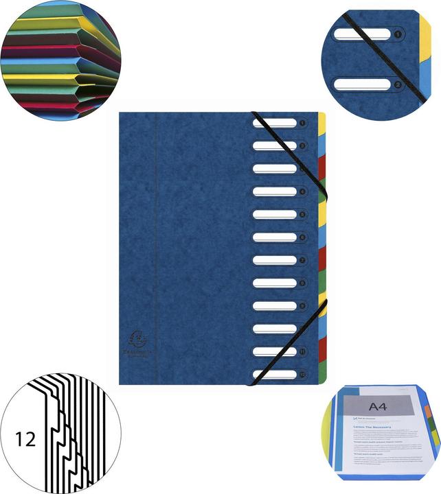 Actual product image Exacompta HARMONIKA - A4 file folders (A4, 1 x)