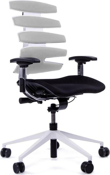 Produktbild Sitag SitagWAVE mit weissem Drehkreuz