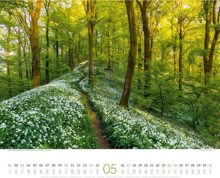 Produktbild Wege Kalender 2026 (54 x 48 cm, Harter Einband, Deutsch, Englisch, Französisch)