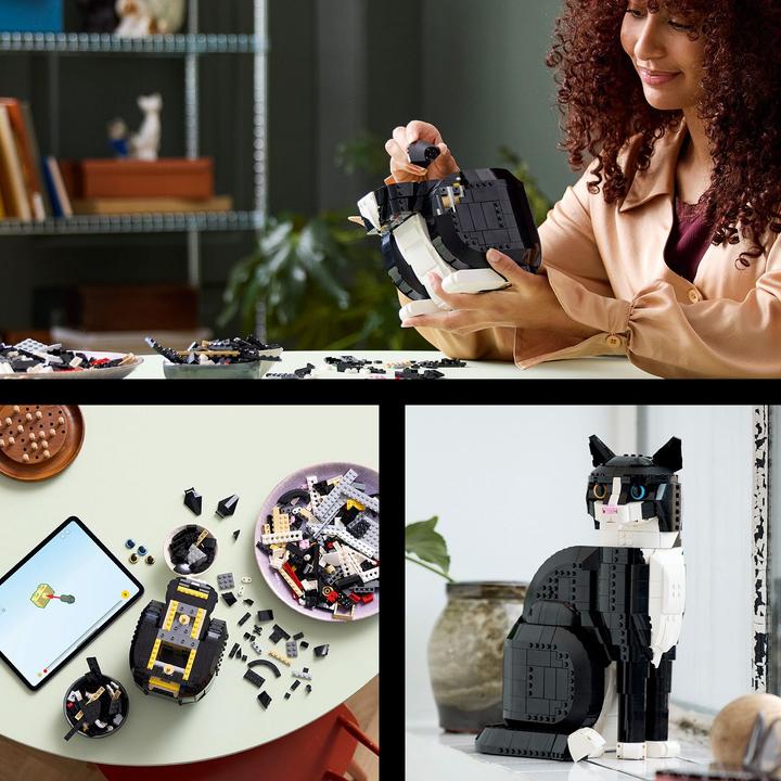 Produktbild LEGO Schwarz-weisse Katze (21349, LEGO Seltene Sets, LEGO Ideas)