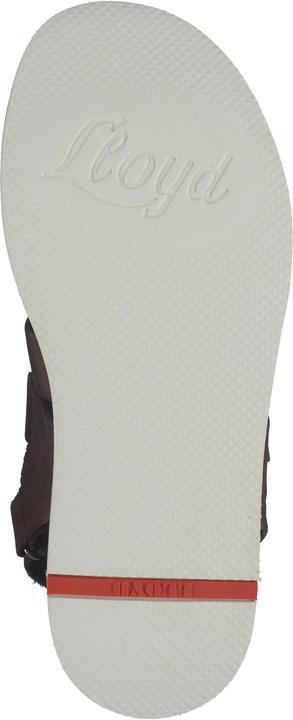 Actual product image Lloyd Elimar (46)