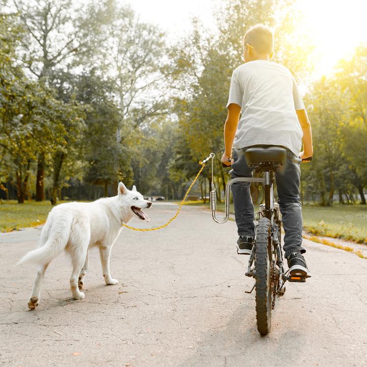 Image du produit Relaxdays Laisse pour vélo (Taille unique, Chien, Vélo)