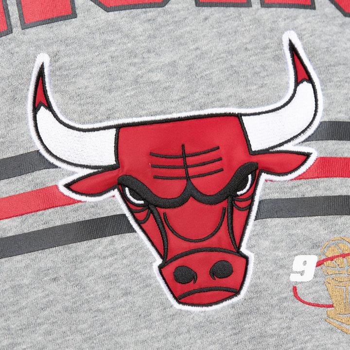 Image du produit Mitchell & Ness Fleece 4.0 Pullover Chicago Bulls (M)