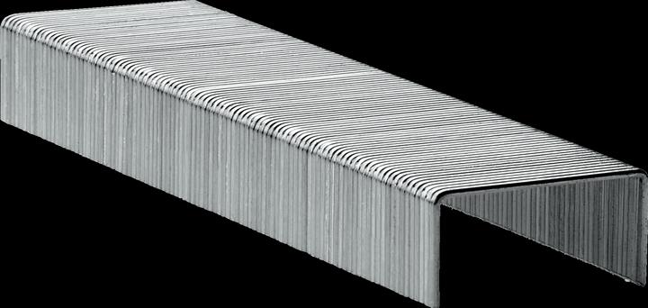 Image du produit Rexel Agrafes n° 56 (1000 x)