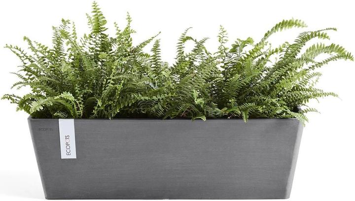 Immagine prodotto Ecopots Bruges (20 cm)