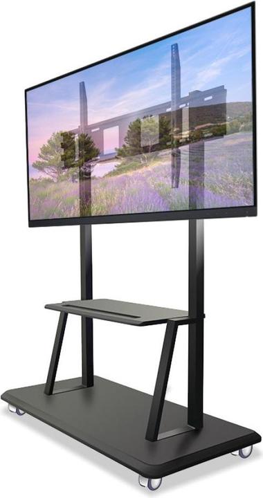 Immagine prodotto Techly Carrello - per schermo piatto - Nero (55"-120") (120", 150 kg)