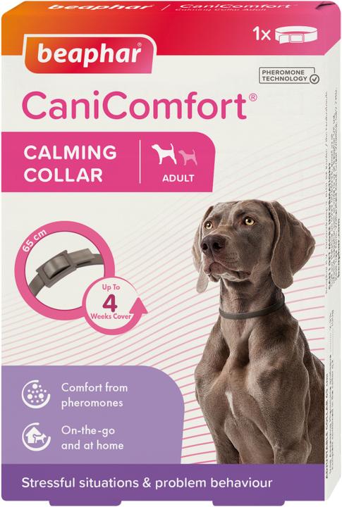 Produktbild beaphar CaniComfort Hund (Hund, Allgemein)