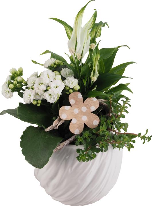 Image du produit Migros Ostschweiz Arrangement de pots grand (32 cm)