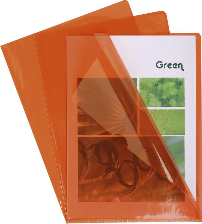 Immagine prodotto Exacompta Coperture e borse (A4, 100 x)