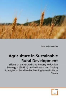 Produktbild Agriculture in Sustainable Rural Development (Deutsch, Peter Kojo Boateng, 2011)