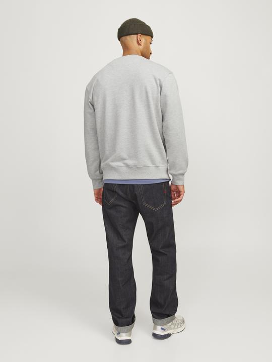 Produktbild Jack & Jones RDD Gedruckt Sweatshirt Sweatshirt (XL)