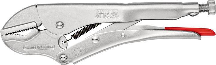 Actual product image Knipex Universal Grip Pliers (250 mm)
