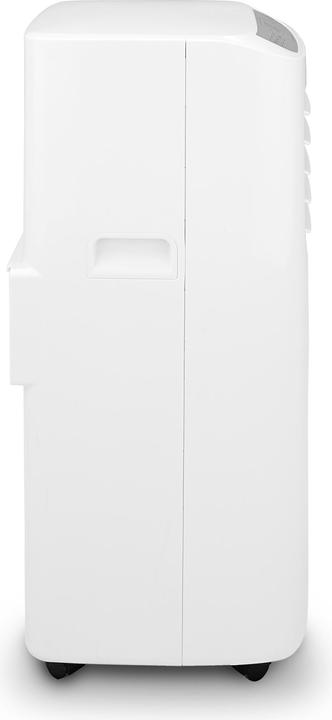 Actual product image Argo Swan Evo (7029.01 BTU/h)